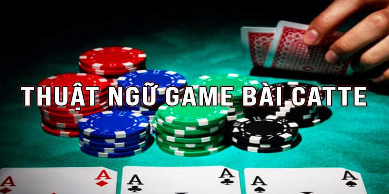 Bí quyết chơi bài Catte luôn thắng